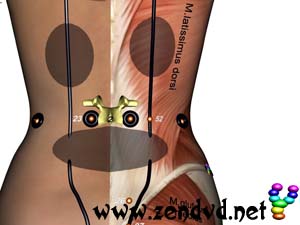 Niere Zen Shiatsu Meridian Experience Reloaded