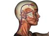 Zen Shiatsu Meridian Experience Reloaded